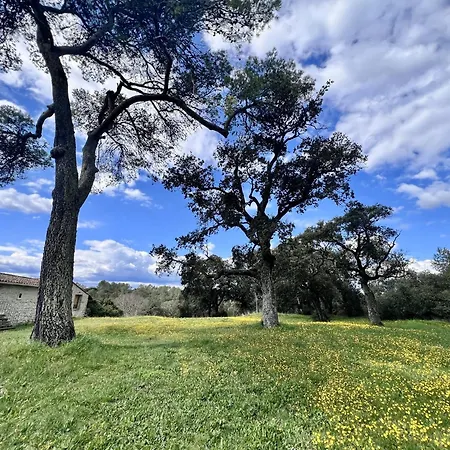 Du Gentilhomme Glycine Maison d'hôtes Orthoux-Sérignac-et-Quilhan